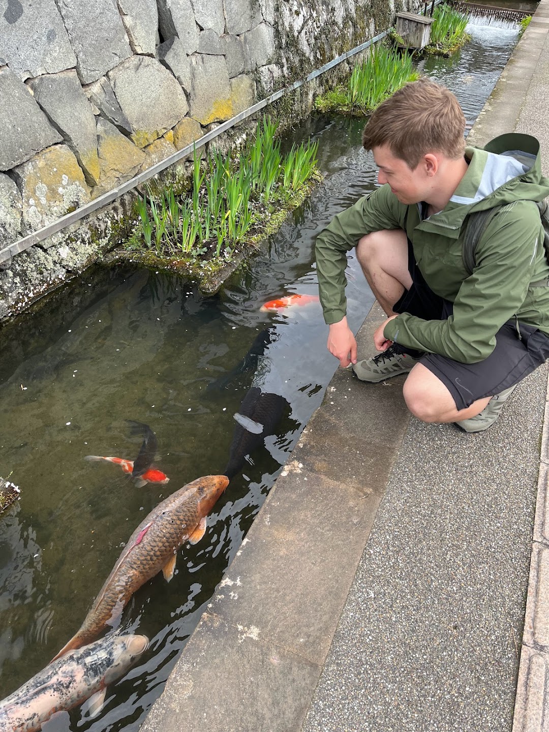 A timeline photo. Click photo to open fullscreen when on a tablet or desktop device.