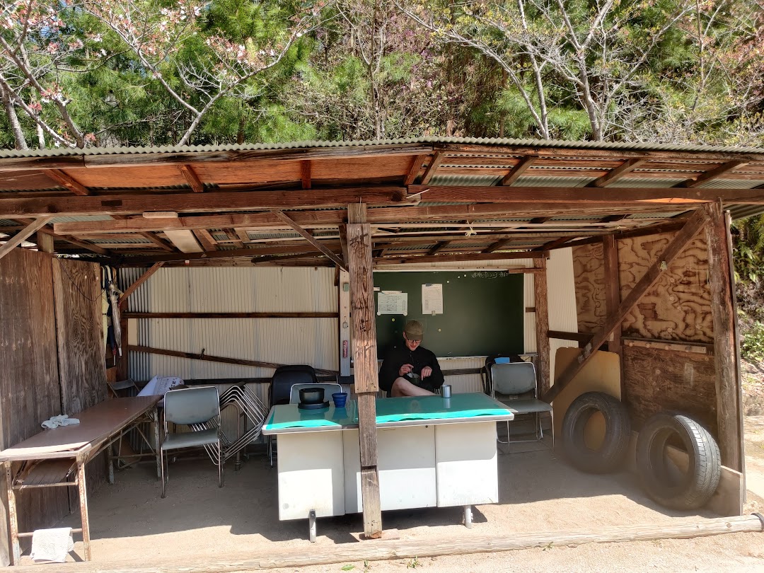 A timeline photo. Click photo to open fullscreen when on a tablet or desktop device.