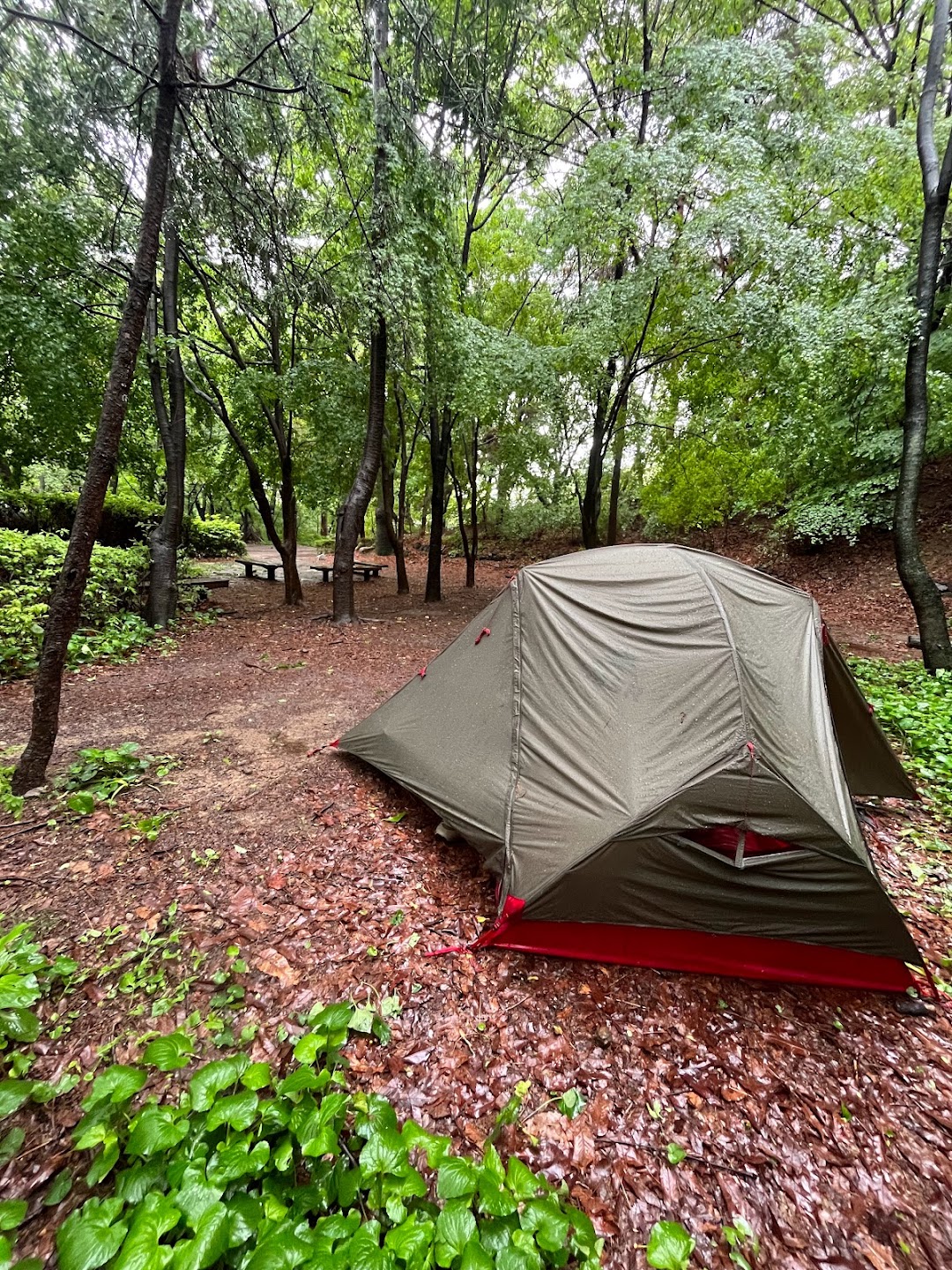 A timeline photo. Click photo to open fullscreen when on a tablet or desktop device.