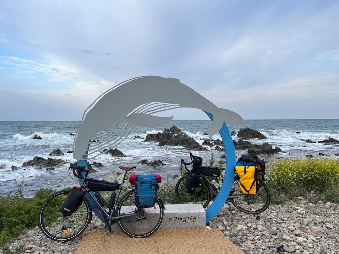 A timeline photo. Click photo to open fullscreen when on a tablet or desktop device.