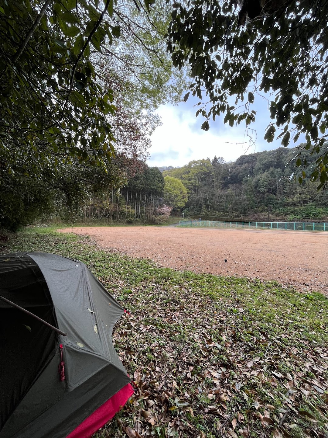 A timeline photo. Click photo to open fullscreen when on a tablet or desktop device.