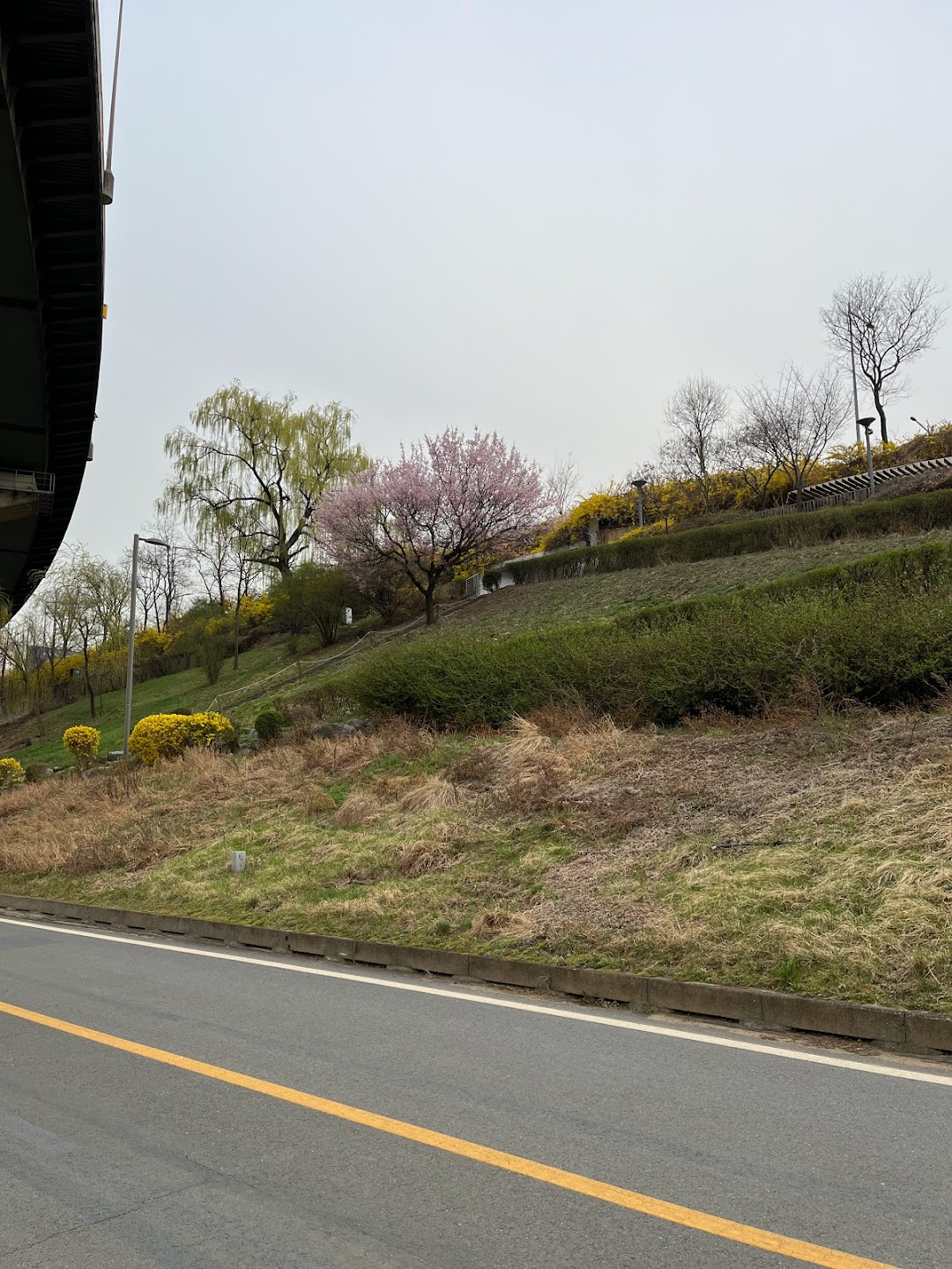 A timeline photo. Click photo to open fullscreen when on a tablet or desktop device.