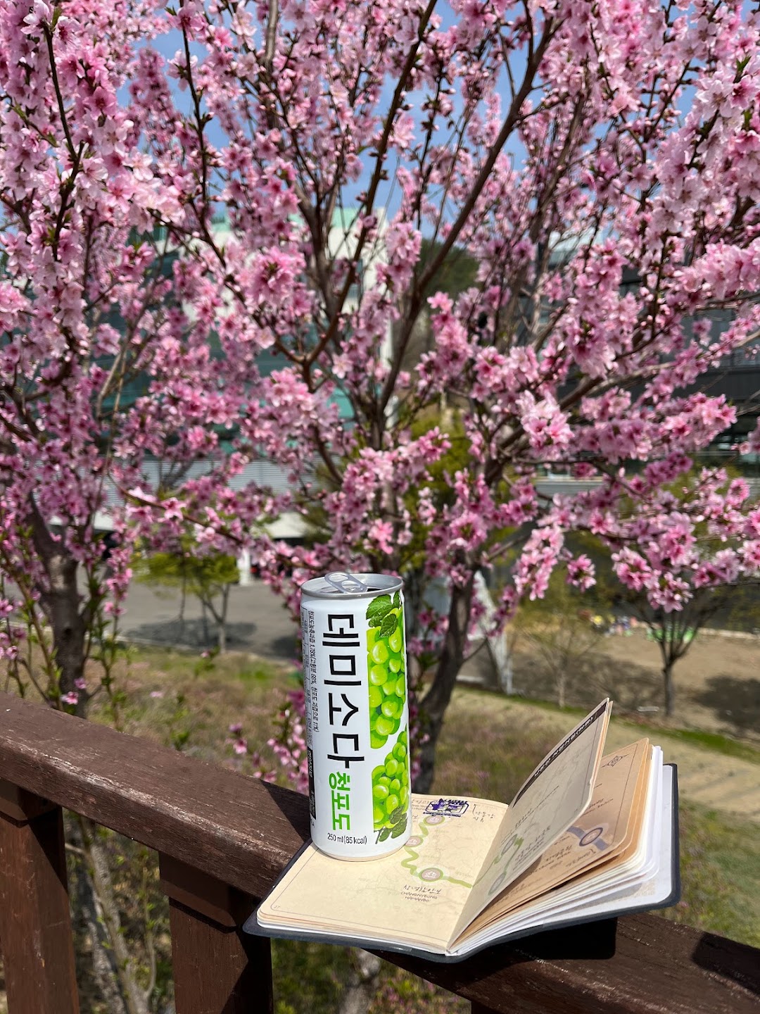 A timeline photo. Click photo to open fullscreen when on a tablet or desktop device.