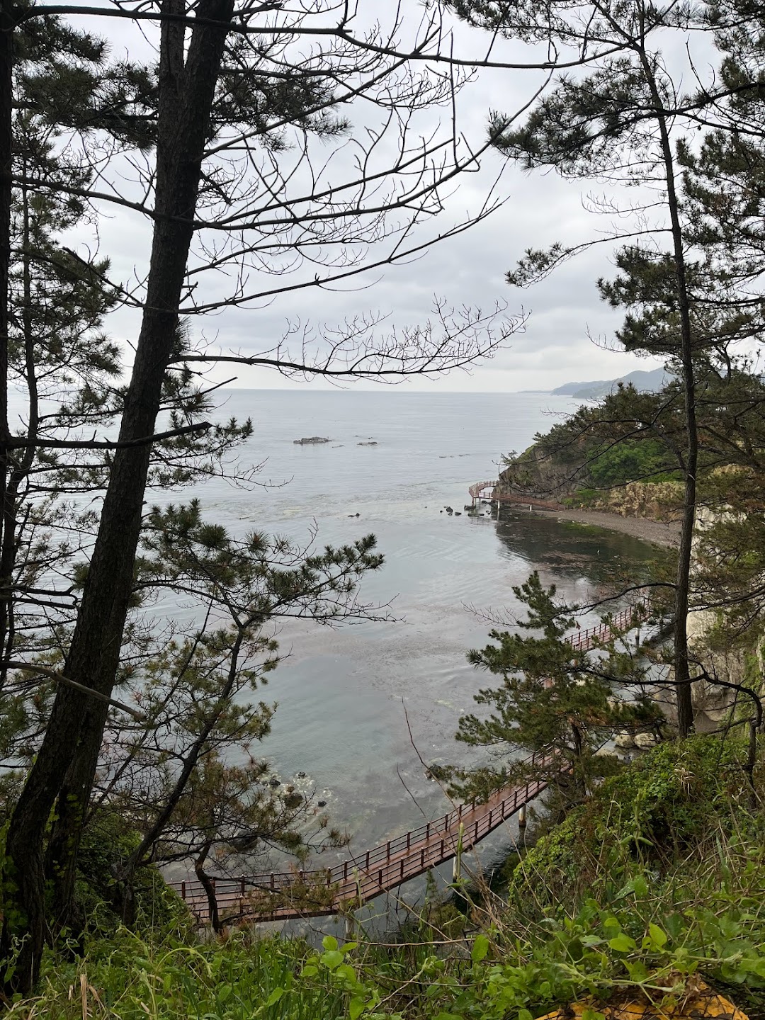 A timeline photo. Click photo to open fullscreen when on a tablet or desktop device.