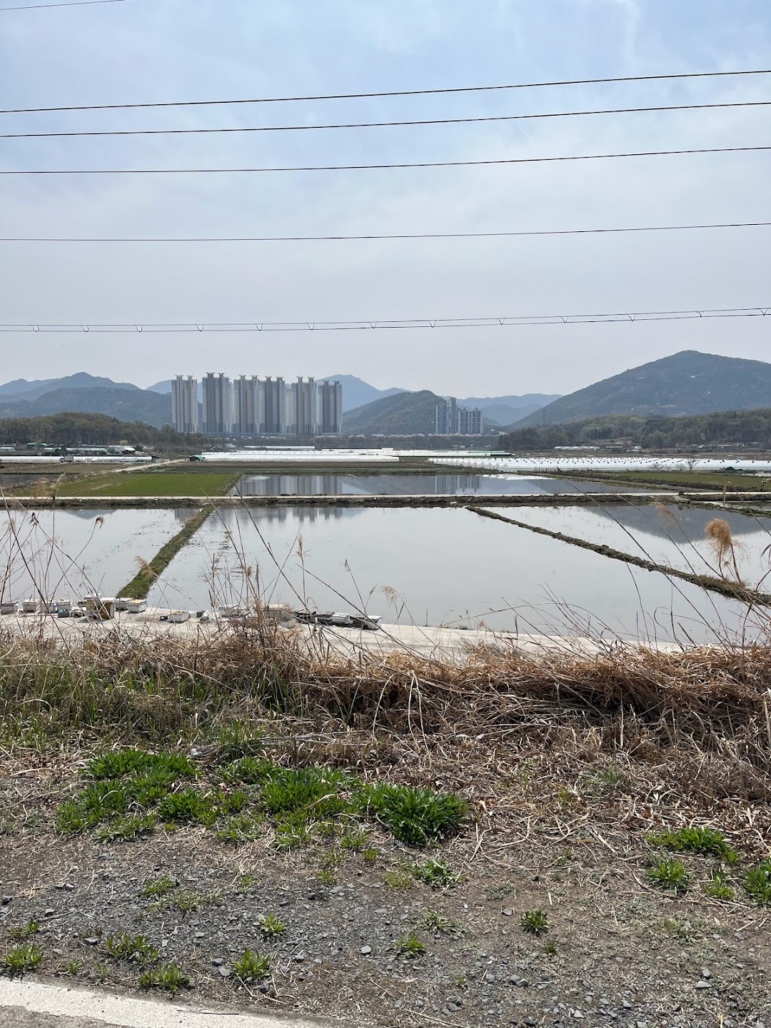 A timeline photo. Click photo to open fullscreen when on a tablet or desktop device.