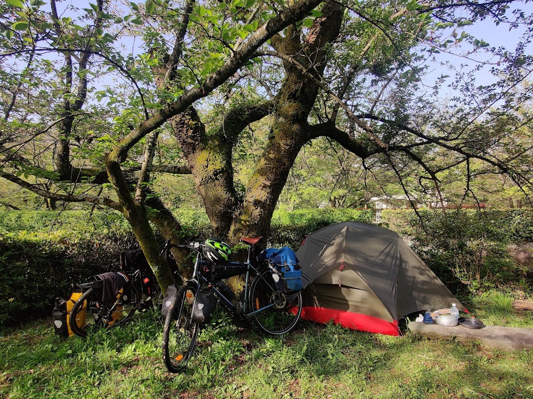 A timeline photo. Click photo to open fullscreen when on a tablet or desktop device.