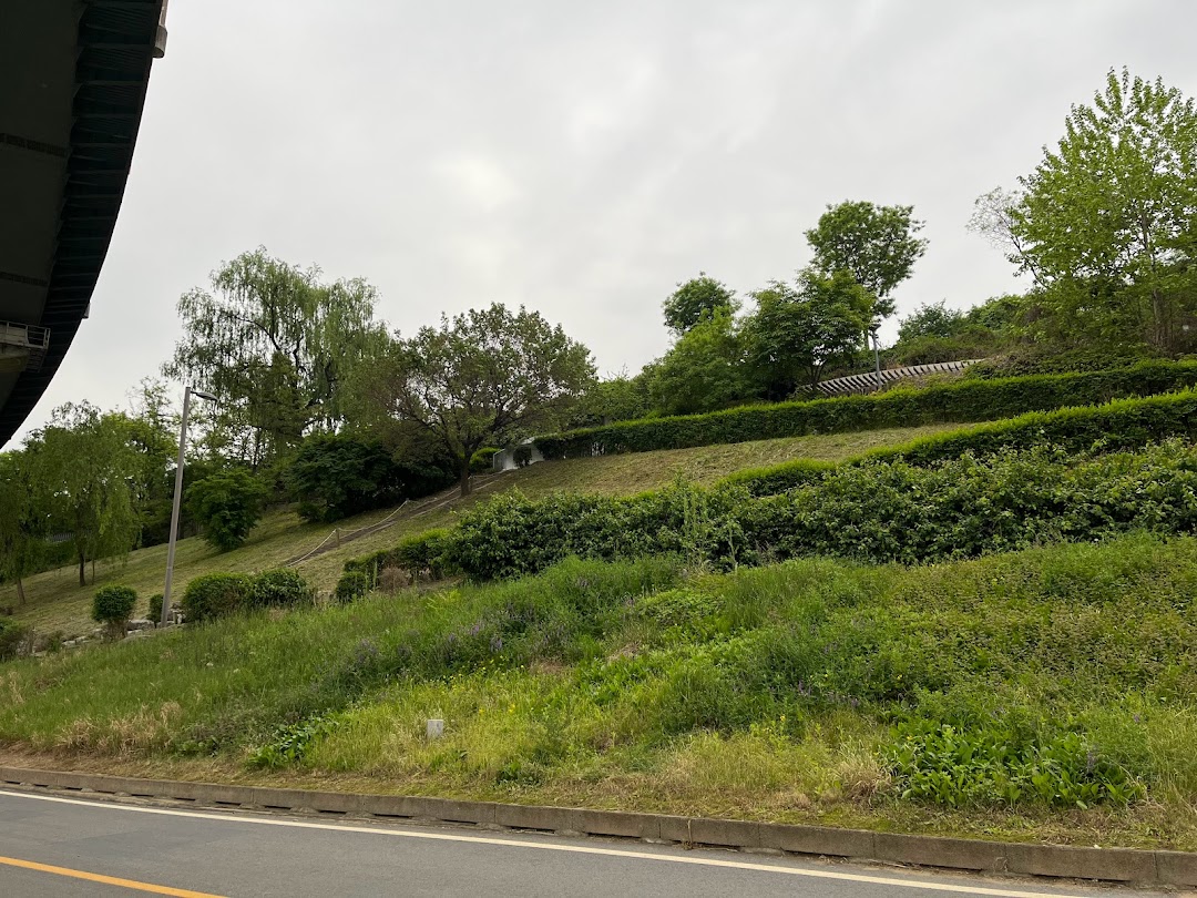 A timeline photo. Click photo to open fullscreen when on a tablet or desktop device.