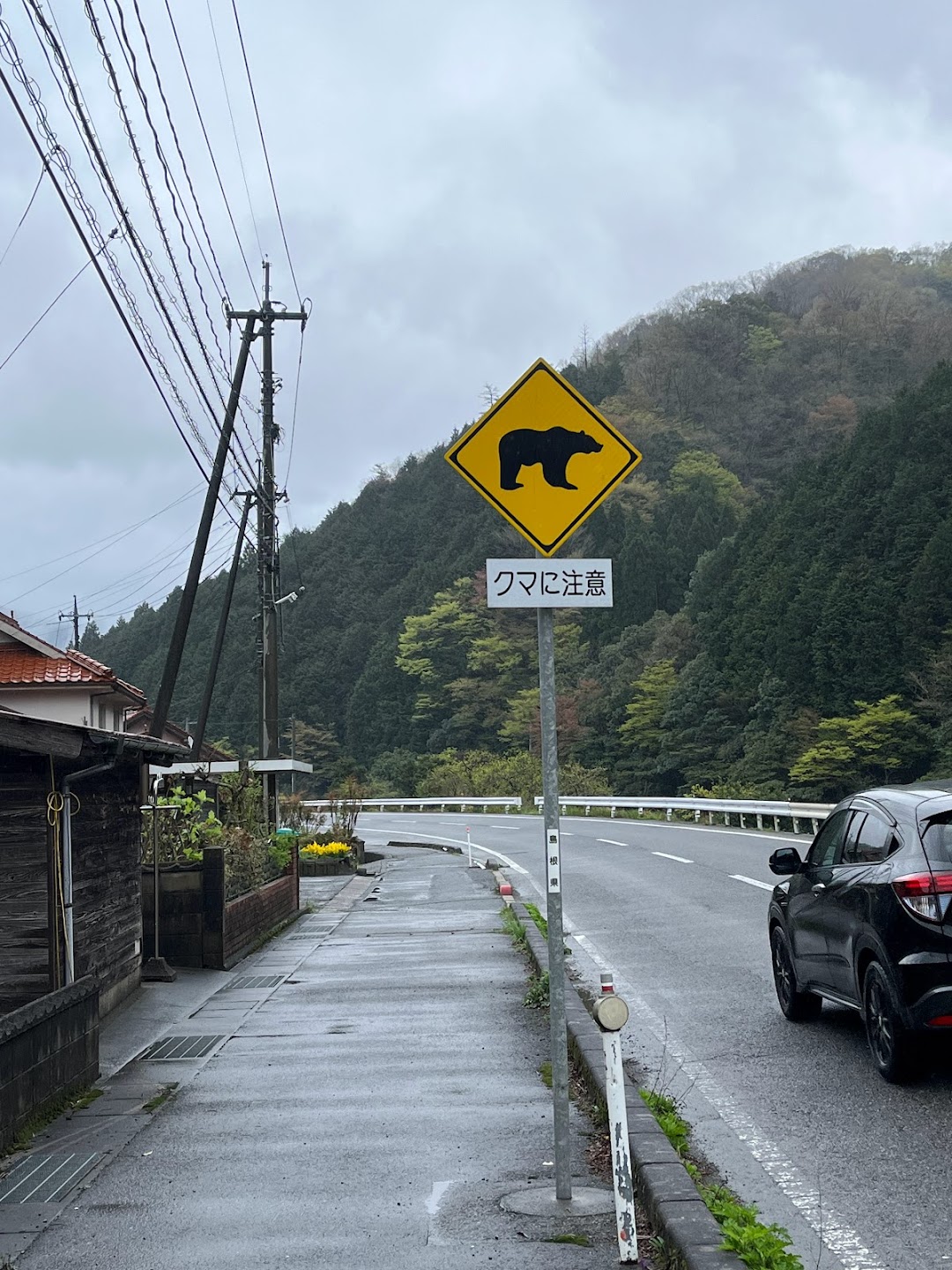 A timeline photo. Click photo to open fullscreen when on a tablet or desktop device.